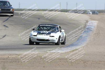 media/Sep-28-2024-24 Hours of Lemons (Sat) [[a8d5ec1683]]/1140am (Outside Grapevine)/